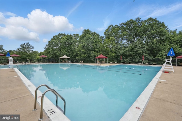 47686 Sandbank Sq, Sterling, VA 20165 - community pool with view of wooded area