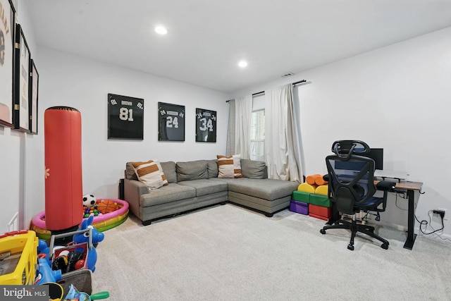 47686 Sandbank Sq, Sterling, VA 20165 - carpeted office space with recessed lighting