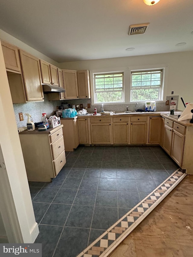 11 Pony Rd, Bridgeton, NJ 08302 - kitchen featuring light brown cabinetry, under cabinet range hood, dark tile patterned floors, and backsplash