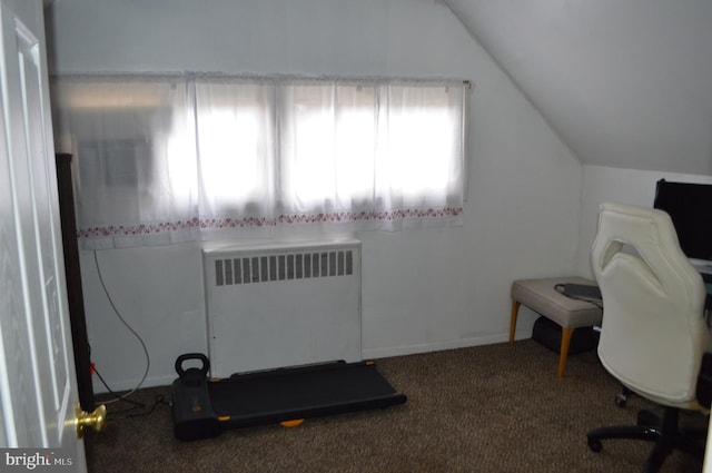 116 Queen Lily Rd, Levittown, PA 19057 - carpeted office featuring radiator heating unit and lofted ceiling