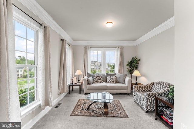 131 Pierce Ln, Kennett Square, PA 19348 - carpeted living room featuring plenty of natural light, crown molding, and baseboards