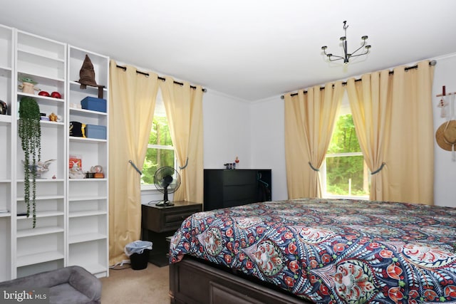 4233 Spire Ct, Snow Hill, MD 21863 - carpeted bedroom with multiple windows