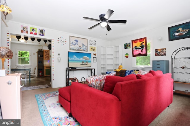 4233 Spire Ct, Snow Hill, MD 21863 - living room with a ceiling fan, carpet flooring, and crown molding
