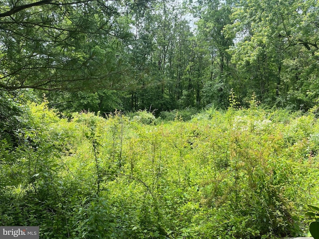 2806 Morris Rd, Lansdale, PA 19446 - view of wooded area