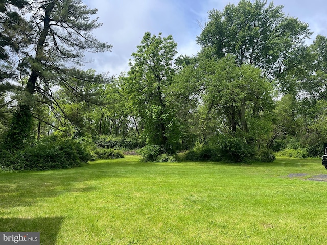 2806 Morris Rd, Lansdale, PA 19446 - view of green lawn