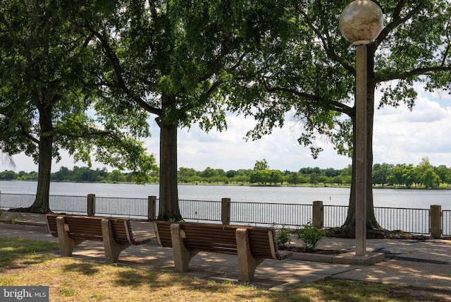 800 4th St SW Unit N216, Washington, DC 20024 - surrounding community with a water view