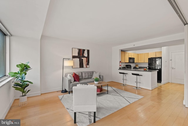 800 4th St SW Unit N216, Washington, DC 20024 - living area featuring light wood-style floors and baseboards