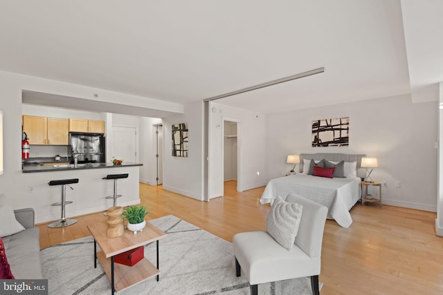 800 4th St SW Unit N216, Washington, DC 20024 - living area with light wood-type flooring and baseboards