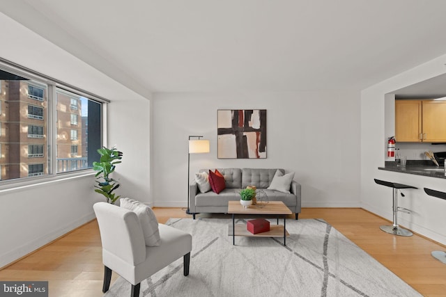 800 4th St SW Unit N216, Washington, DC 20024 - living area with light wood-type flooring and baseboards