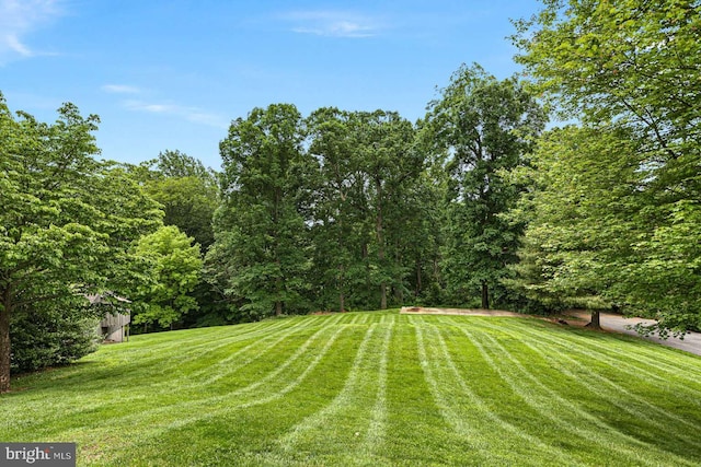 536 Dawson Trak, Hockessin, DE 19707 - view of green lawn