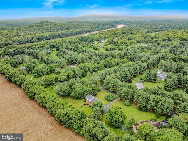 182 Humphrey Ln, Falling Waters, WV 25419 - aerial view of a forest