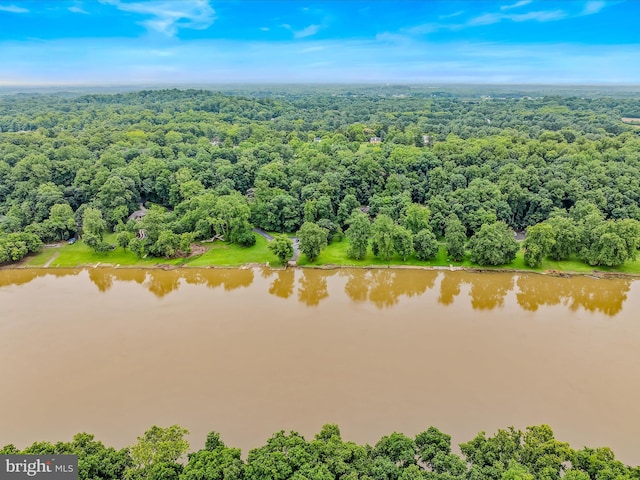 182 Humphrey Ln, Falling Waters, WV 25419 - bird's eye view of a large body of water and a forest