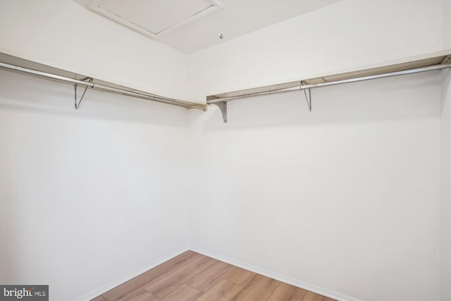 944 War Admiral St, Great Falls, VA 22066 - walk in closet with light wood finished floors