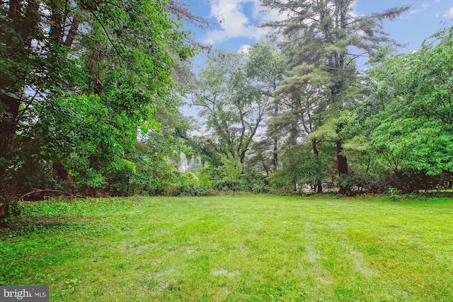 944 War Admiral St, Great Falls, VA 22066 - view of green lawn