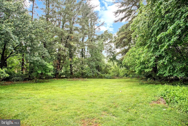 944 War Admiral St, Great Falls, VA 22066 - view of grassy yard