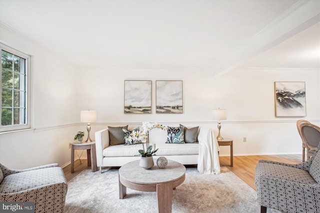 944 War Admiral St, Great Falls, VA 22066 - living room with wood finished floors, baseboards, and crown molding