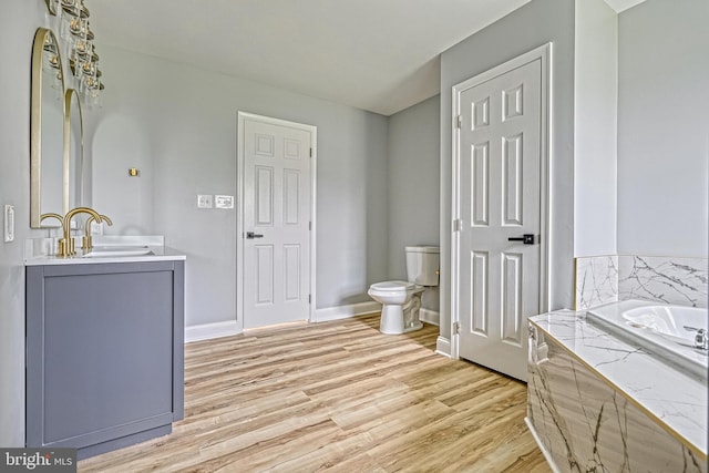 1201 Falls Grove Ln, York, PA 17404 - full bath featuring vanity, wood finished floors, a garden tub, toilet, and baseboards