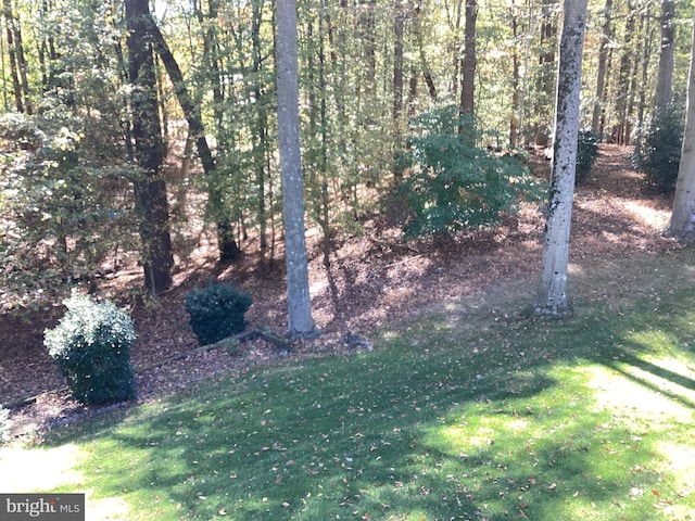 614 Cedarday Dr, Bel Air, MD 21015 - view of green lawn