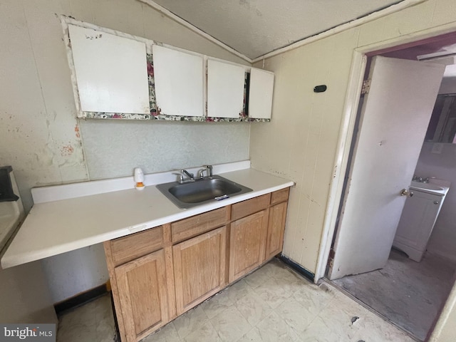 27 Church St, Bridgeton, NJ 08302 - kitchen featuring a sink, light countertops, lofted ceiling, and light flooring