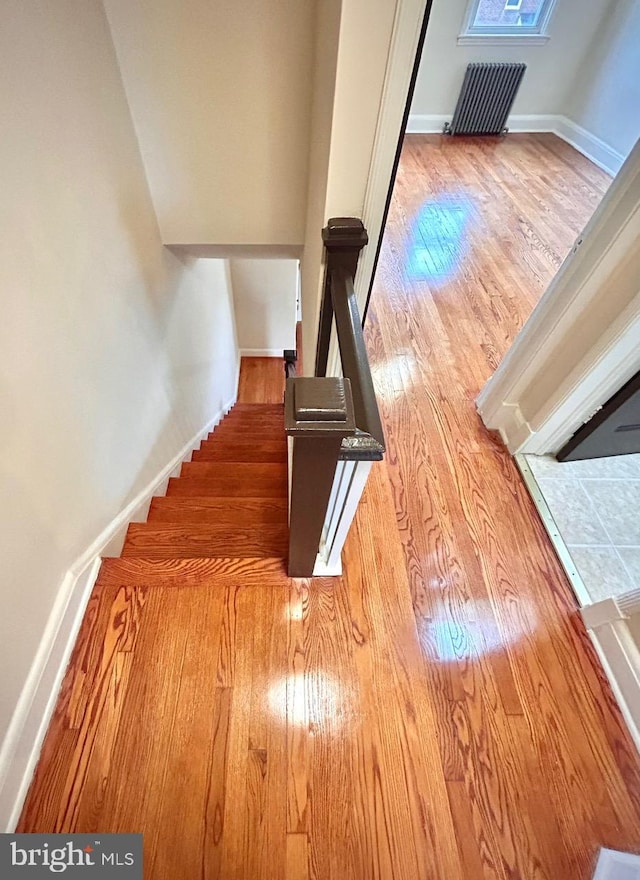 3925 Colborne Rd, Baltimore, MD 21229 - staircase featuring wood finished floors and baseboards