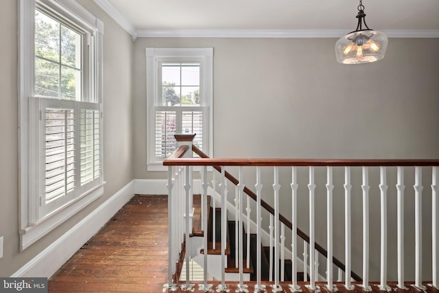 1704 N Royal Ave, Front Royal, VA 22630 - stairway with wood finished floors and ornamental molding