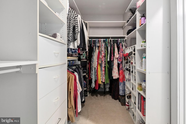 1704 N Royal Ave, Front Royal, VA 22630 - spacious closet featuring carpet floors