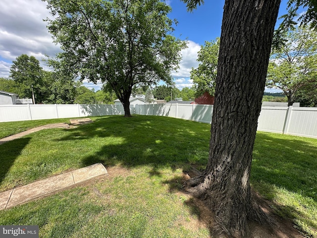 1704 N Royal Ave, Front Royal, VA 22630 - view of fenced backyard
