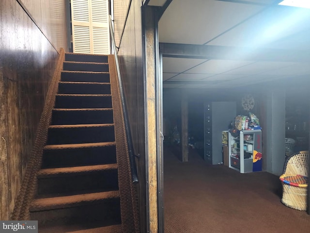 74 Probasco Rd, Hightstown, NJ 08520 - stairs with carpet flooring