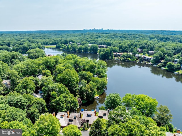 2127 Cabots Point Ln, Reston, VA 20191 - aerial view of a large body of water and a heavily wooded area