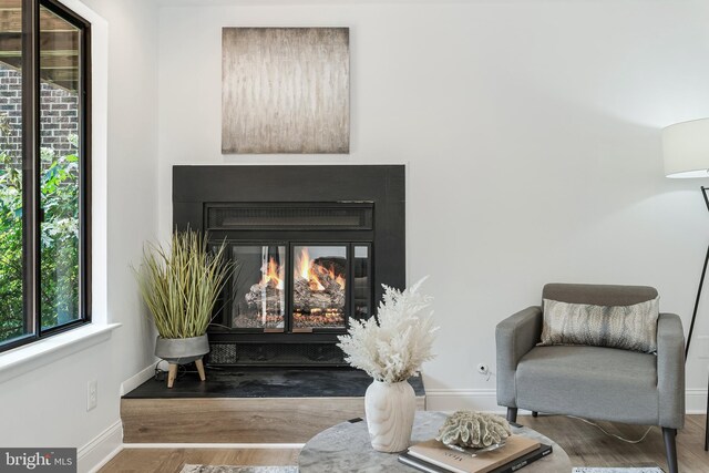 2127 Cabots Point Ln, Reston, VA 20191 - living area with healthy amount of natural light, wood finished floors, and a lit fireplace