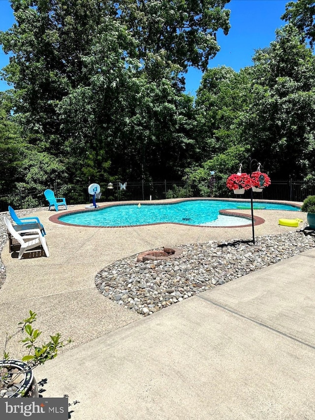 11 Harvest Dr, Pittsgrove, NJ 08318 - view of pool featuring a patio and view of scattered trees