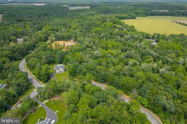 11 Harvest Dr, Pittsgrove, NJ 08318 - aerial view of a forest