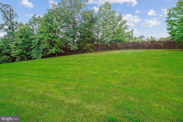 16758 Blackjack Oak Ln, Woodbridge, VA 22191 - view of yard