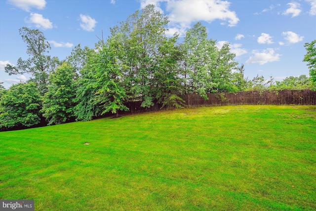 16758 Blackjack Oak Ln, Woodbridge, VA 22191 - view of yard