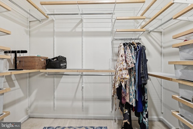 12925 Centre Park Cir Unit 106, Herndon, VA 20171 - view of walk in closet