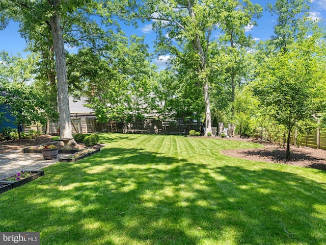 9103 Chickawane Ct, Alexandria, VA 22309 - view of yard
