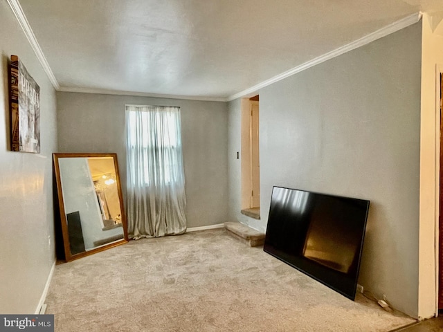 1506 Mcgovern Ter, Wilmington, DE 19805 - unfurnished bedroom with ornamental molding, baseboards, and carpet floors