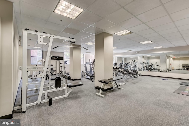 1211 Light St Unit 105, Baltimore, MD 21230 - workout area with a paneled ceiling and carpet floors