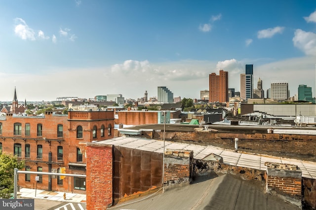 1211 Light St Unit 105, Baltimore, MD 21230 - skyline view