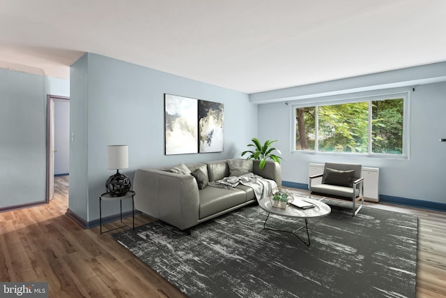 116 Lee Ave Unit 112, Takoma Park, MD 20912 - living room with wood finished floors and baseboards