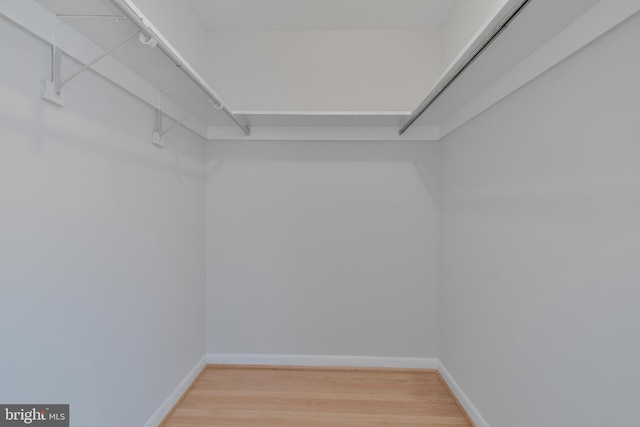 1334 Elsinore Ave, Mclean, VA 22102 - walk in closet with light wood-style flooring