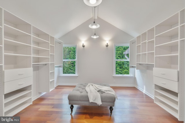 5001 14th St N, Arlington, VA 22205 - living area with plenty of natural light, light wood-style flooring, and baseboards