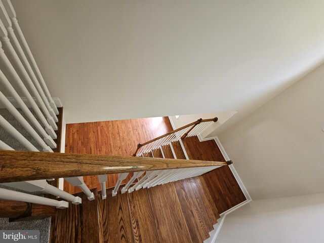 204 Turtle Cv Unit 116, Laurel, DE 19956 - view of stairway