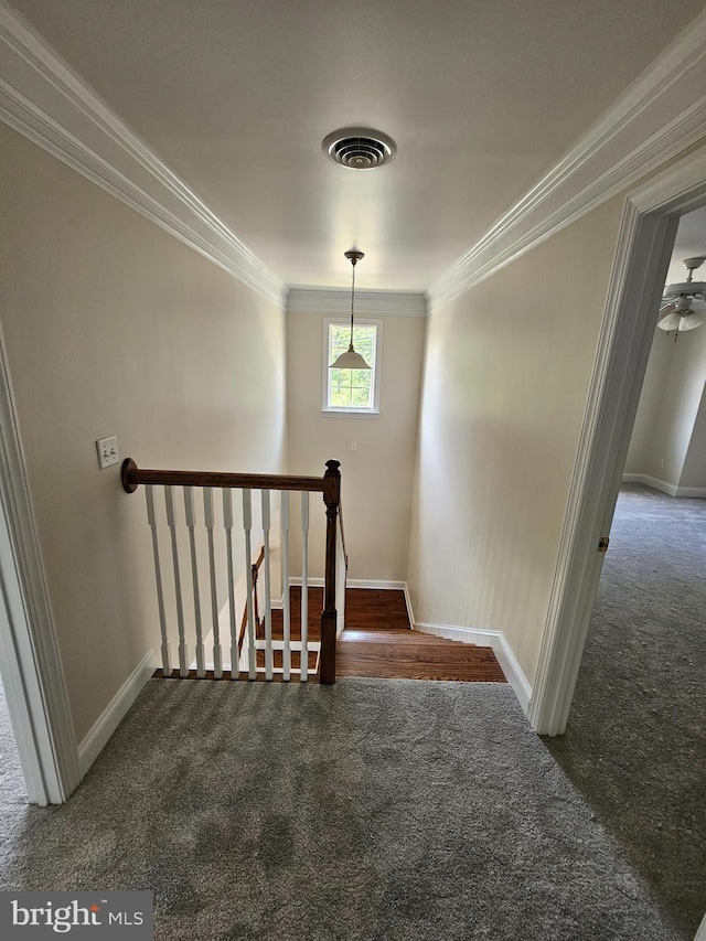 204 Turtle Cv Unit 116, Laurel, DE 19956 - staircase featuring carpet flooring, ornamental molding, and baseboards