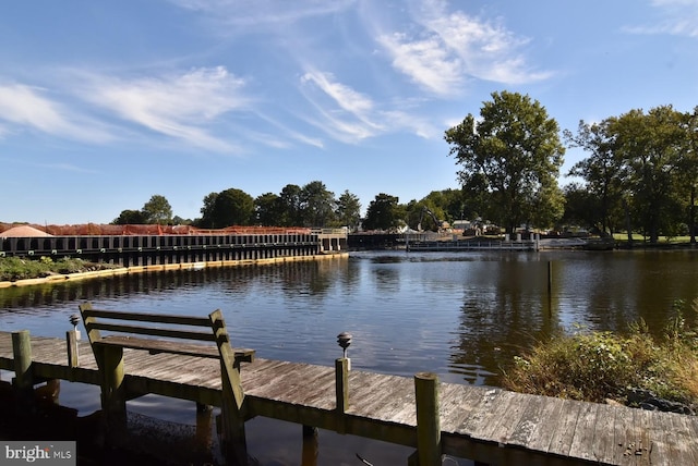 204 Turtle Cv Unit 116, Laurel, DE 19956 - dock with a water view