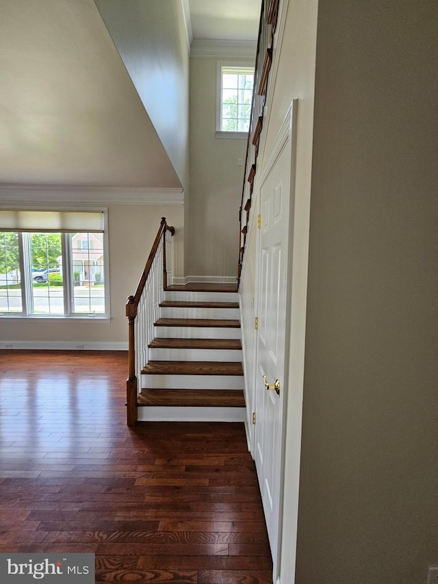 204 Turtle Cv Unit 116, Laurel, DE 19956 - staircase with wood finished floors, ornamental molding, and baseboards