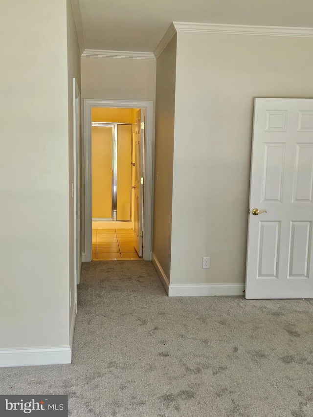 204 Turtle Cv Unit 116, Laurel, DE 19956 - corridor with ornamental molding, carpet floors, and baseboards
