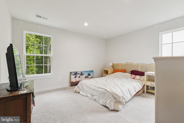 121 Mountain Path Ln, Stafford, VA 22554 - bedroom featuring multiple windows, carpet, and baseboards