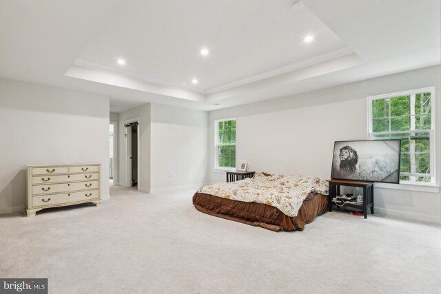 121 Mountain Path Ln, Stafford, VA 22554 - carpeted bedroom with a tray ceiling, recessed lighting, and baseboards