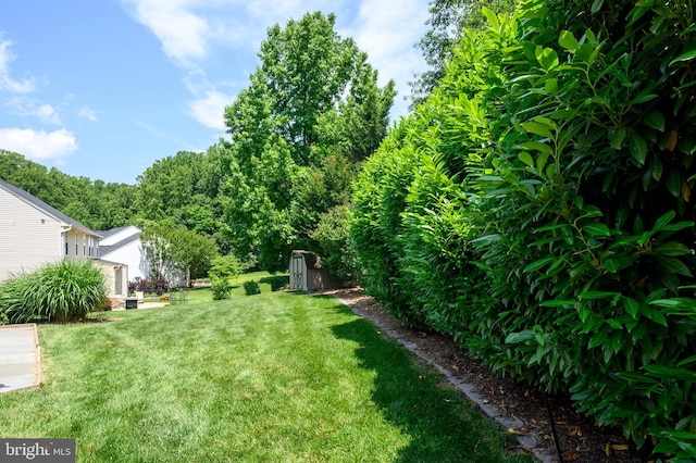 10604 Sourwood Ct, Laurel, MD 20723 - view of green lawn featuring a storage shed